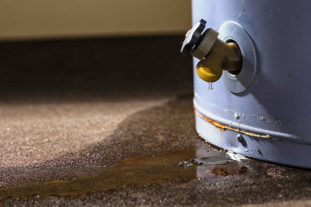 Best Carpet water damage restoration  in Mullica Hill, NJ