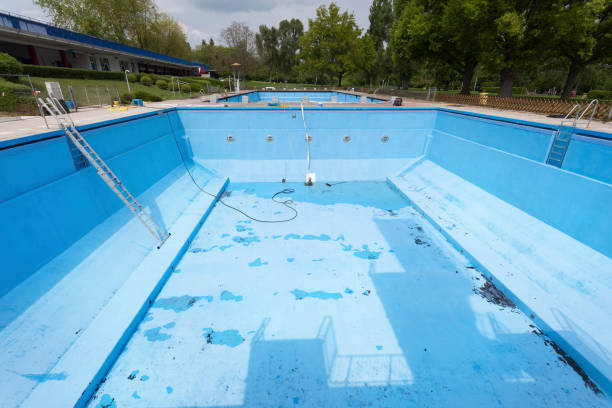 Best Professional water damage repair  in Mullica Hill, NJ