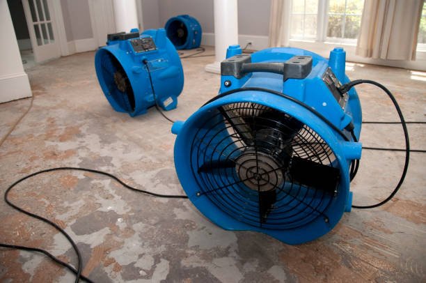 Local water damage restoration in Mullica Hill, NJ