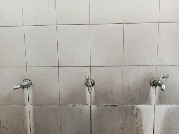 Best Local water damage restoration  in Mullica Hill, NJ