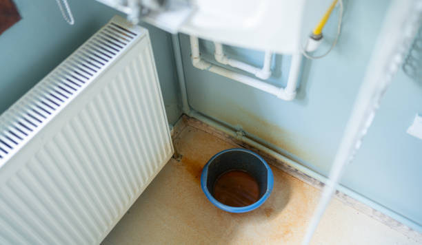 Best Water damage restoration experts  in Mullica Hill, NJ