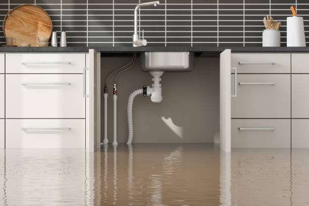 Water damage restoration insurance claims in Mullica Hill, NJ