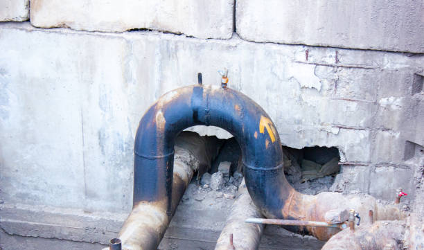 Best Flood restoration services  in Mullica Hill, NJ