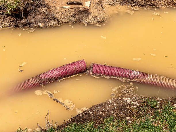 Best Water damage restoration near me  in Mullica Hill, NJ
