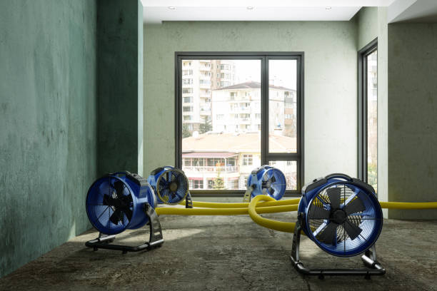 Best Water damage contractors near me  in Mullica Hill, NJ
