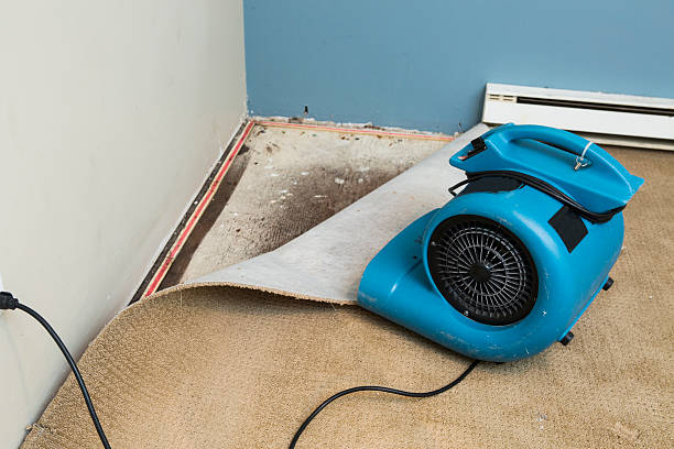 Best Flood damage cleanup  in Mullica Hill, NJ